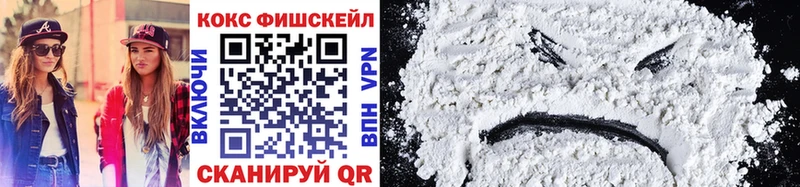 дарк нет наркотические препараты  где купить наркоту  Чегем  Cocaine Fish Scale 