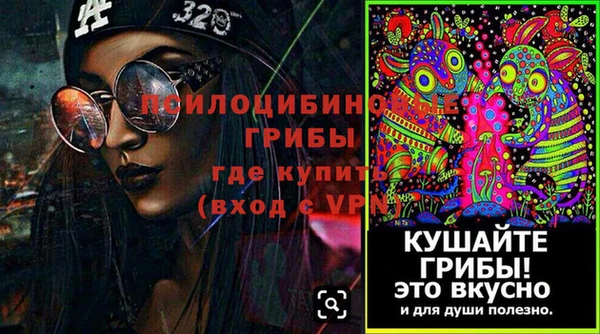 скорость Абаза