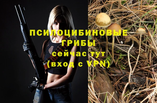 скорость Абаза